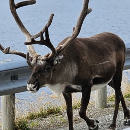 nordkap rundreise 2023_35